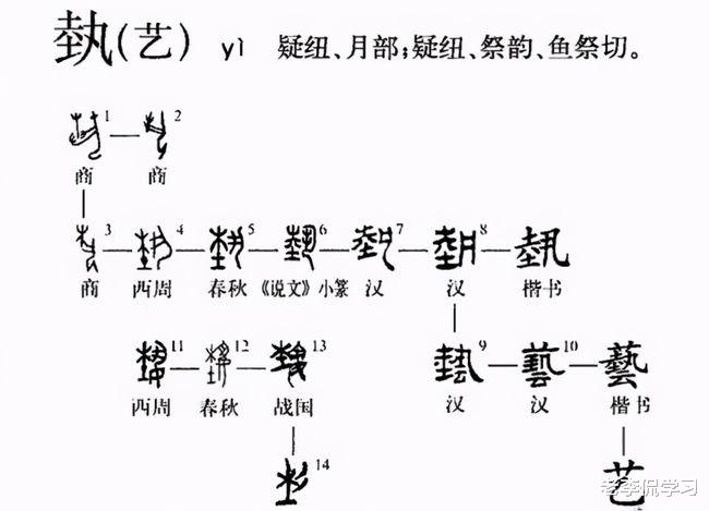 老李侃学习|山东大学出现“低级错误”，校庆大屏现错字，网友直言是985吗