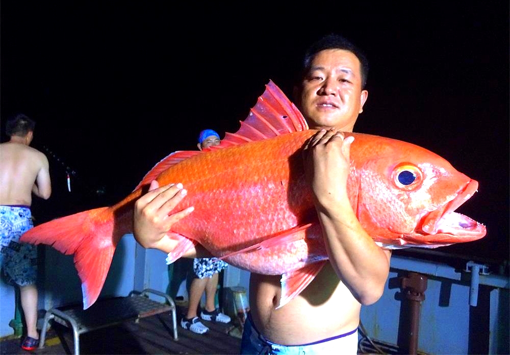 |你钓到过最大的鱼有多大?20斤?对我来说那叫鱼饵