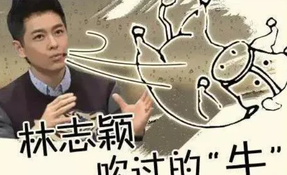 人物设定|娱圈中的“谎话精”？为了凹人设，他们什么都敢说！