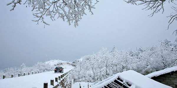 重庆|立冬来临！重庆的天然氧吧......雪花漫天飞舞，冬季玩雪来这里！