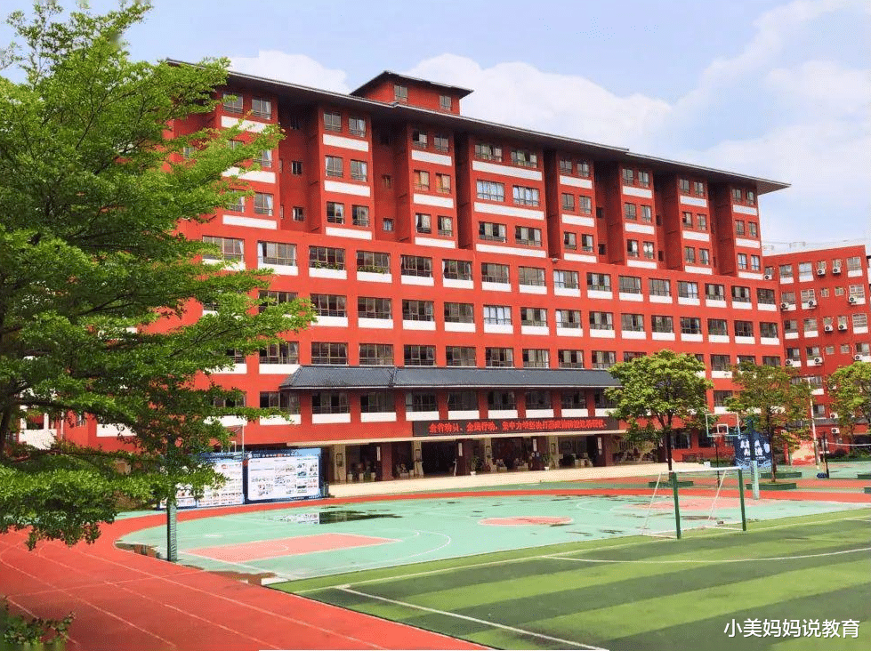 小美妈妈说教育|家长们的好消息，民办中小学或将“消失”，不用再为择校而发愁