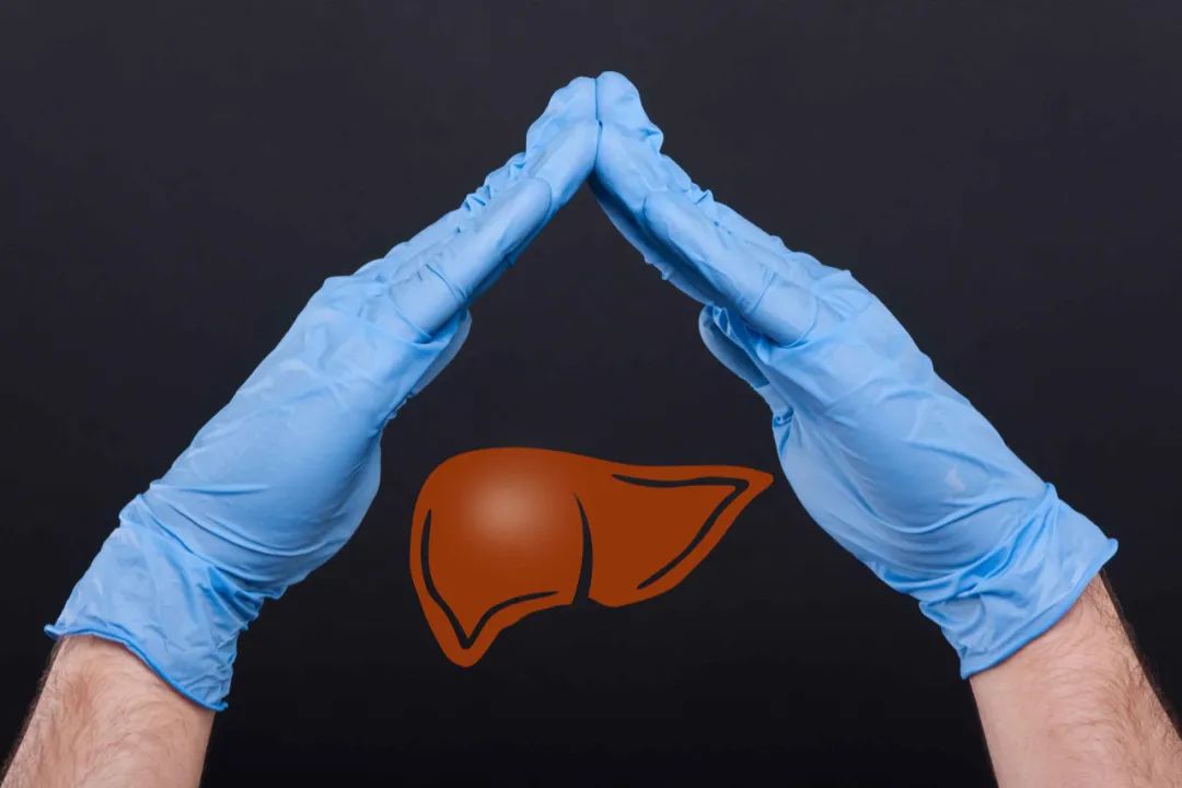 肝脏|3种食物是肝脏修复器,若能坚持吃一点,肝脏或会慢慢变强壮