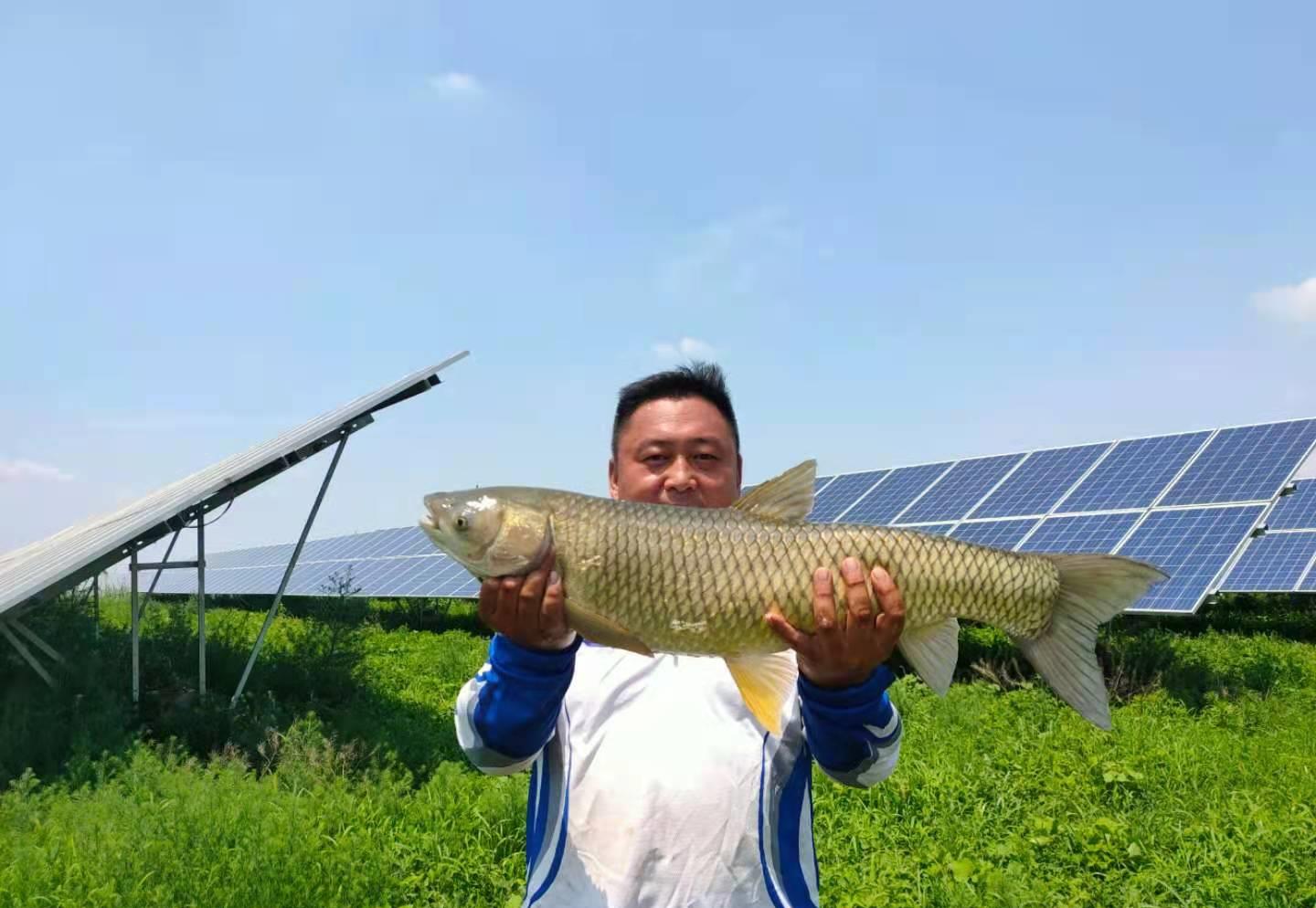 |顶级国产碳布制作，3.9只有59克，这款国产鱼竿终于迎来高光时刻