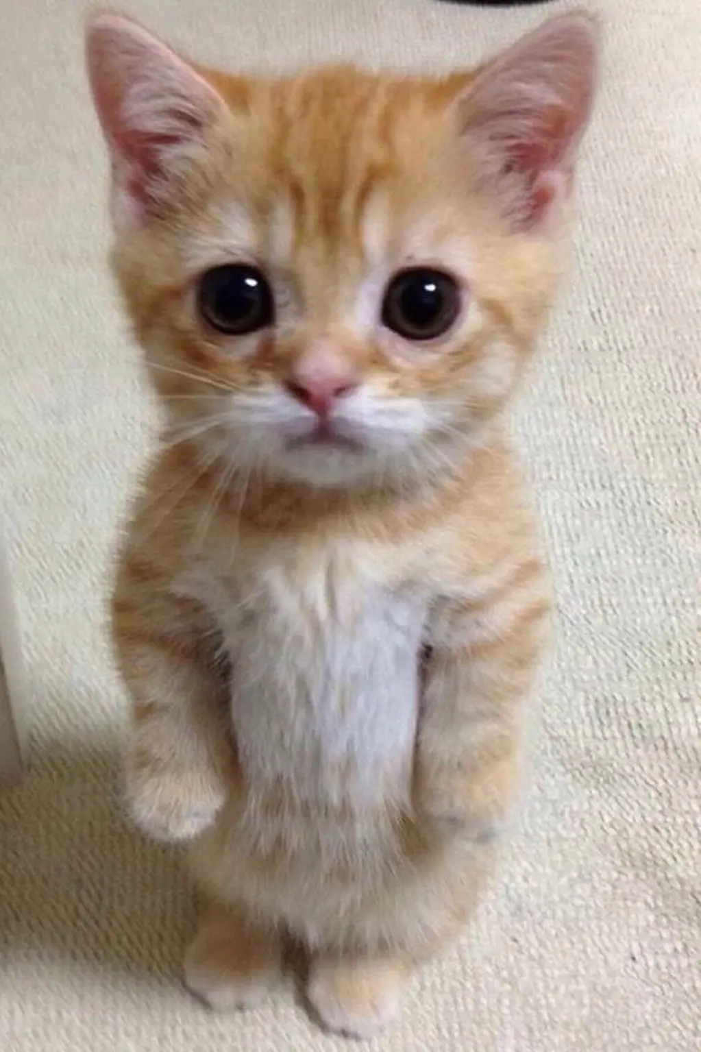 于浩讲故事|生活从来不会刻意亏欠谁，它给你一块阴影，必会在不远处撒下一片阳光……