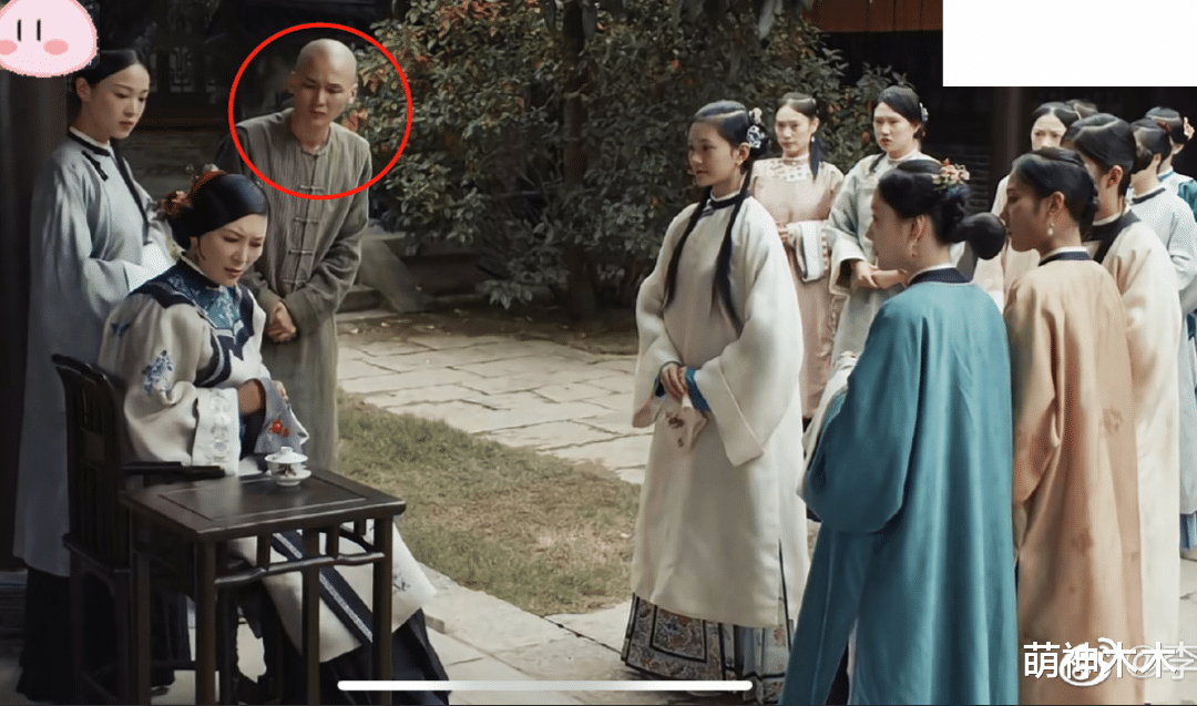 龙套|《当家》同场演员回应了！证实剧组给猫打麻药，发毒誓骂剧组撒谎