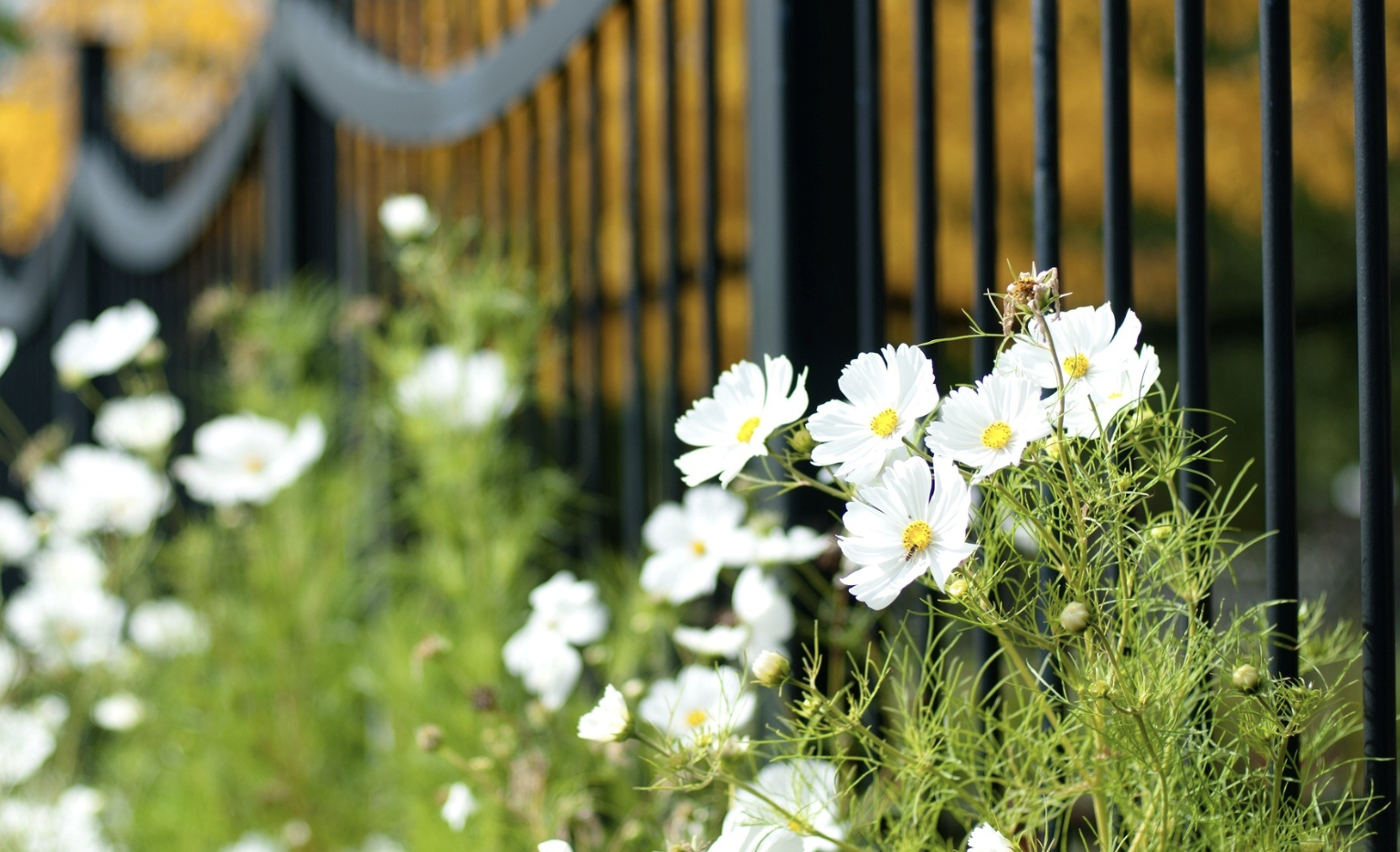生肖夜读|8月,智勇超群,财运顺畅,存款多多,3生肖压力全无,喜上眉梢
