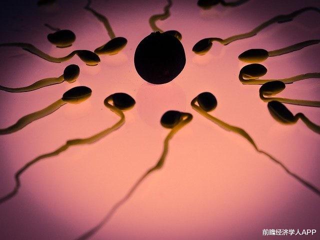 前瞻经济学人APP 男人也有生育黄金期！研究称：过了这个年纪，男性精子质量将大幅下降