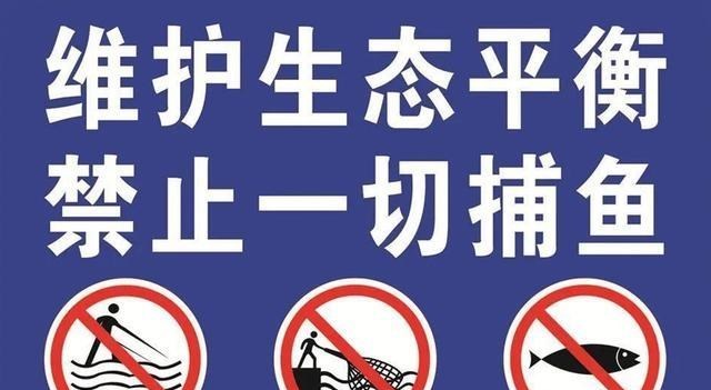 武汉|湖南衡东两男子带着黑科技钓鱼，结果摊上了大事，到底怎么了？