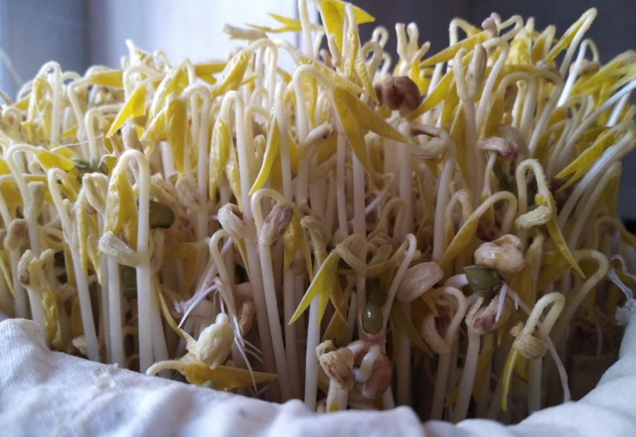 母婴说事|揭开三种蔬菜的“毒面纱”,普通人都要少吃,更别说孕妇和胎儿了