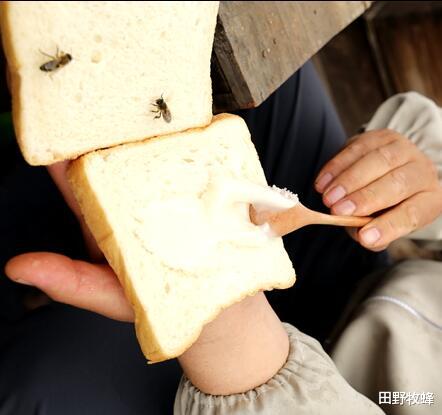 田野牧蜂|蜂蜜食品做法大全? 蜂蜜可以做哪些美食?