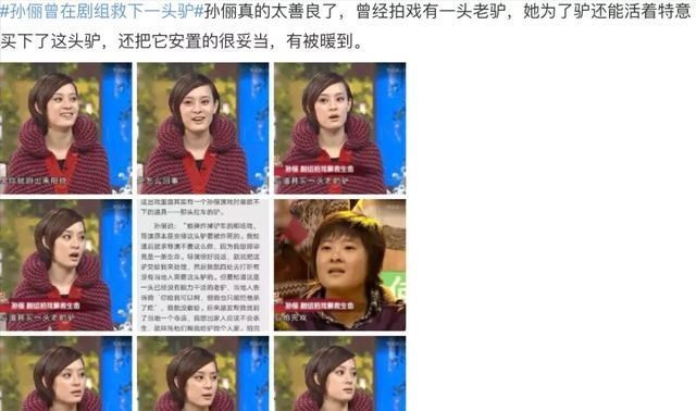 尼坤|大曲线姐的前夫被打？尼坤被容貌羞辱？孙俪曾在剧组救下一头驴！