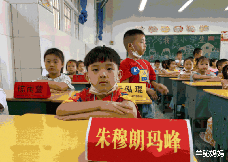 羊驼妈妈|宝爸给儿子取名“王奈”，不料被办证护士打错，宝妈笑了：别改了