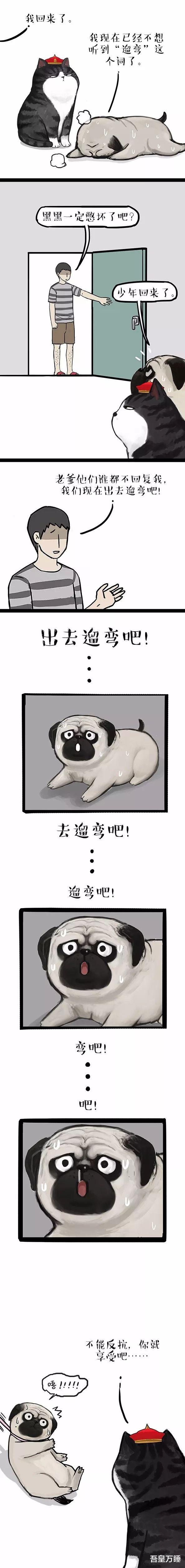 |吾皇巴扎黑：既然不能反抗，那就去享受吧。