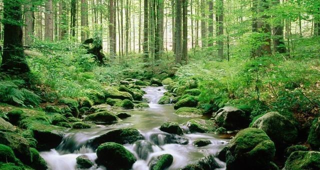地球文明一直在循环往复?青海发现15万年前的“工业痕迹”
