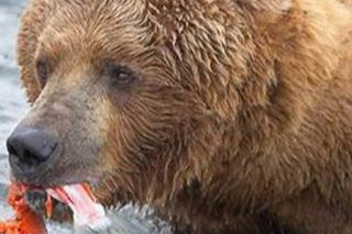 长白山天池 长白山天池是一个冷水湖，那里面真的会有水怪和大型生物吗？