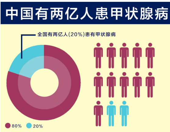 甲状腺|“散结冠军”被发现,不是猕猴桃,没事敞开吃,甲状腺越来越强壮