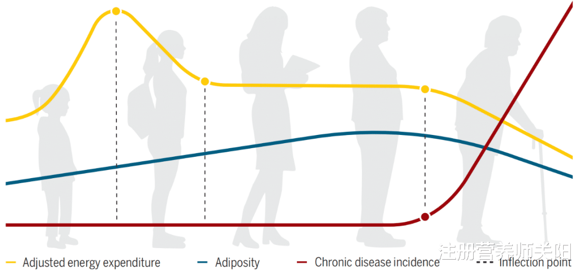 注册营养师关阳 如何逃过“中年肥胖”? 这三点很关键!