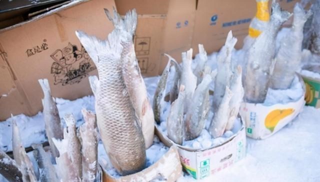 看完东北农村的大冰箱,再看南方的,网友:没对比就没伤害