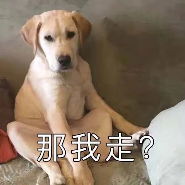 |面试“奇葩”问题大赏，面试官在逗我玩？