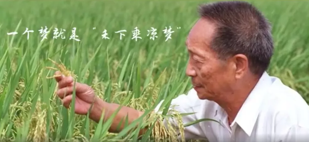 明星|袁隆平逝世2天后，明星天价伙食费让网友炸了