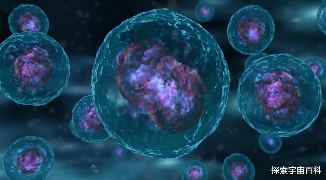 机器 人只是基因操纵的“傀儡”？颠覆三观的科普神作《自私的基因》