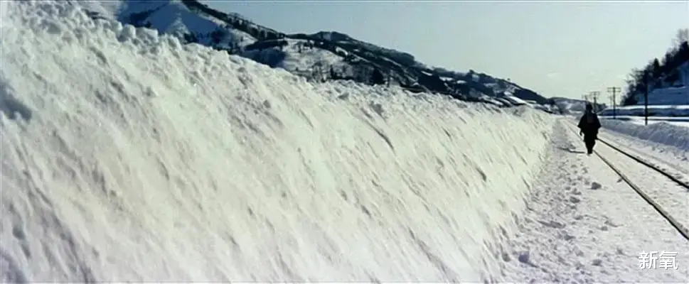 日本|她能代表日本审美的最高水平？凭什么