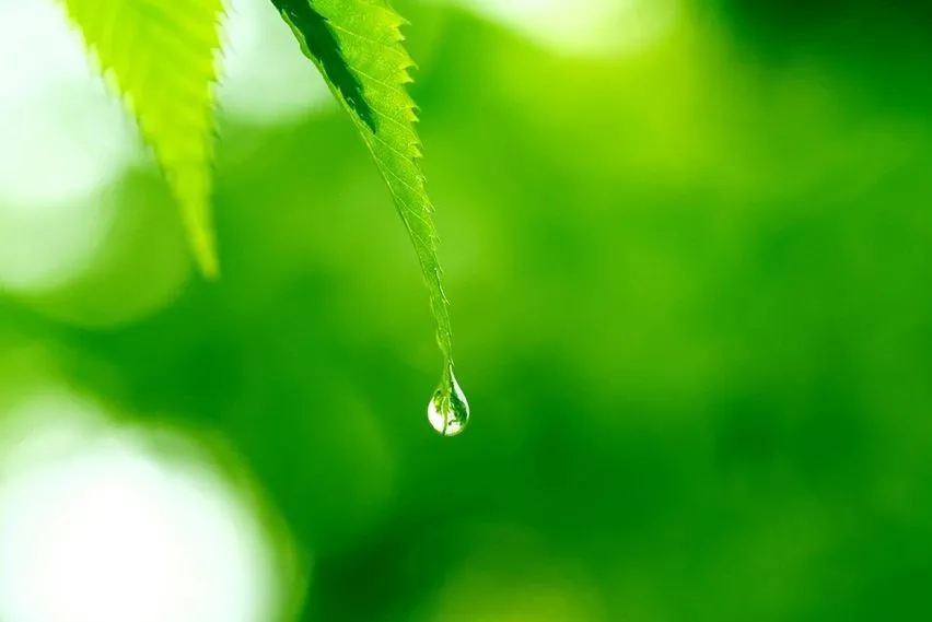 科学家 氢气对皮肤的作用