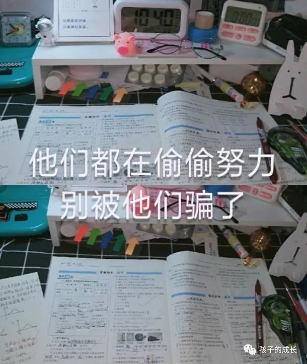 树艺蛙APP|六成大学生认为自己毕业十年年入百万，定位：能干的职场“秀儿”