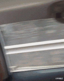 小叶娱记 “你男朋友是怎么把你追到手的？”女生：一把辛酸泪！