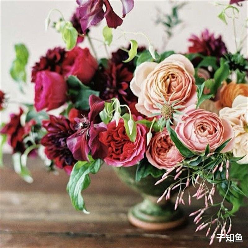 子知鱼 被誉为演员的星座女：深情专一，爱情中不将就，爱她就要全力以赴