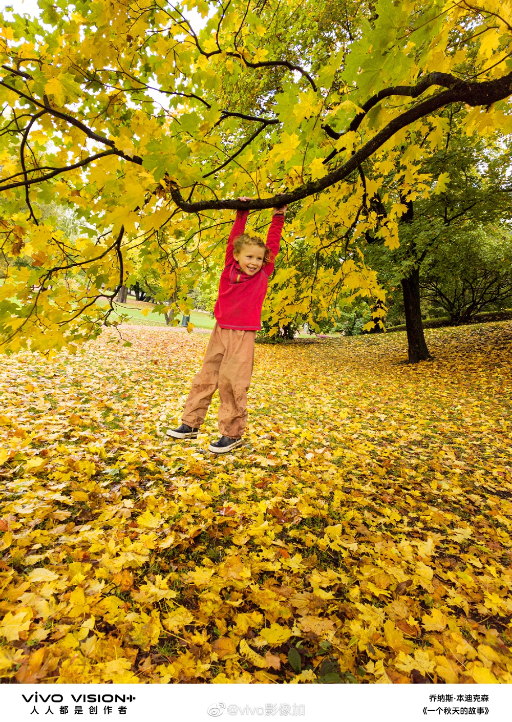 vivo|国际摄影季也开始展出手机摄影作品了？vivo或成影展最大赢家