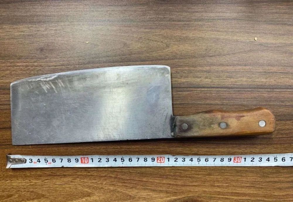 炄锌说 疑妻子出轨将其砍杀后逃亡，被抓获岳母谅解，陕西男子结果如何？