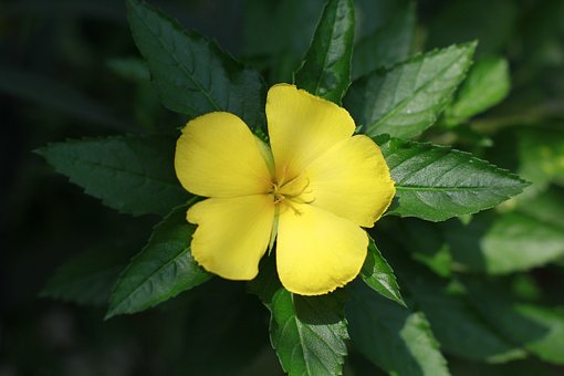 宇录良言|适合发朋友圈的感悟句子，精致深刻，绝对值得一读