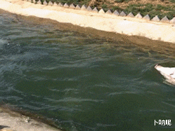  女生夏天还是少穿白色衣服出行吧，遇到下雨天打湿了真的很尴尬
