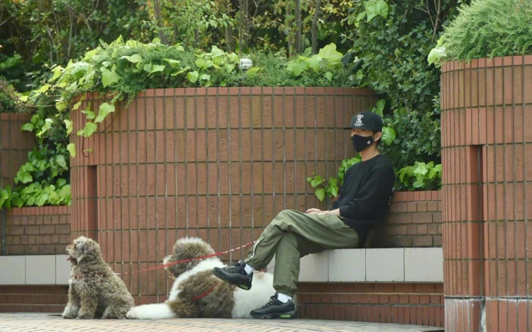 工藤静香|结婚了20年的顶流夫妻，终于忍不住公开撒糖了？