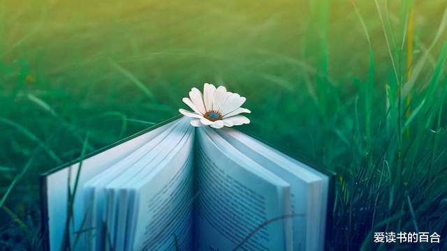 爱读书的百合|成功写作者的秘诀:你一定要努力,但不要急