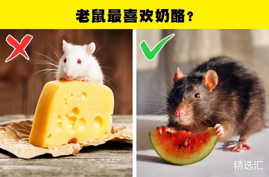 冷知识揭穿:生活中,人们长期相信着的7个错误的科学知识