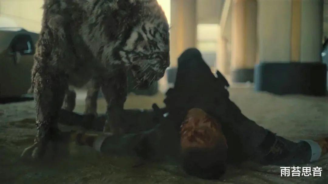 活死人军团|什么都有，也什么都没有-《活死人军团》影评