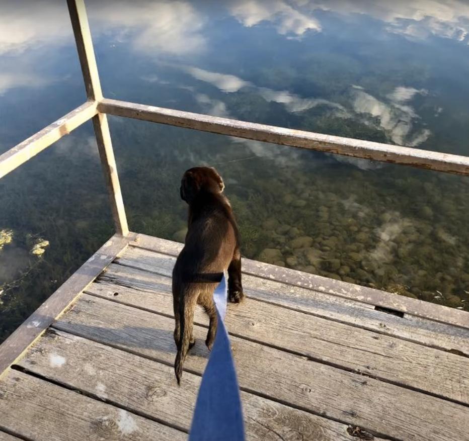 海之归墟|32张带有“误导性”的照片,你能一眼看明白吗?