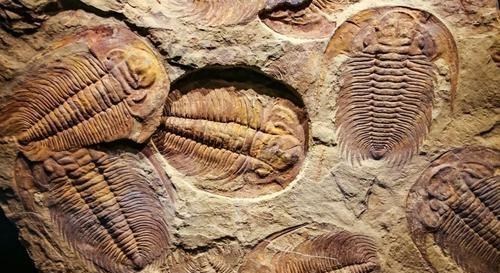 科学家 科学家发现，数十亿年前不该存在的东西，史前文明真的存在吗？