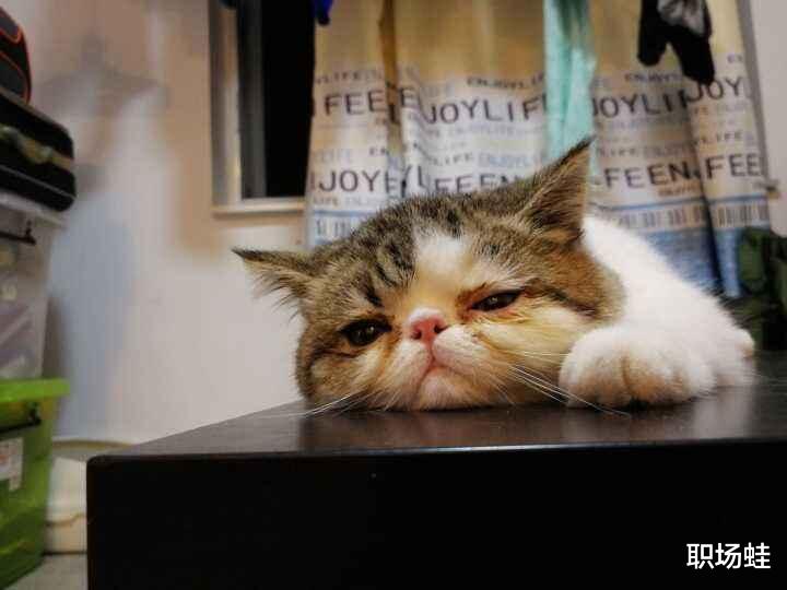 求职|我做事无精打采,很颓废、抑郁,怎么办?