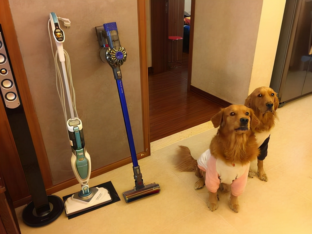 买回家才知道，这4件网红家电真的“鸡肋”，扔了心疼，留着积灰