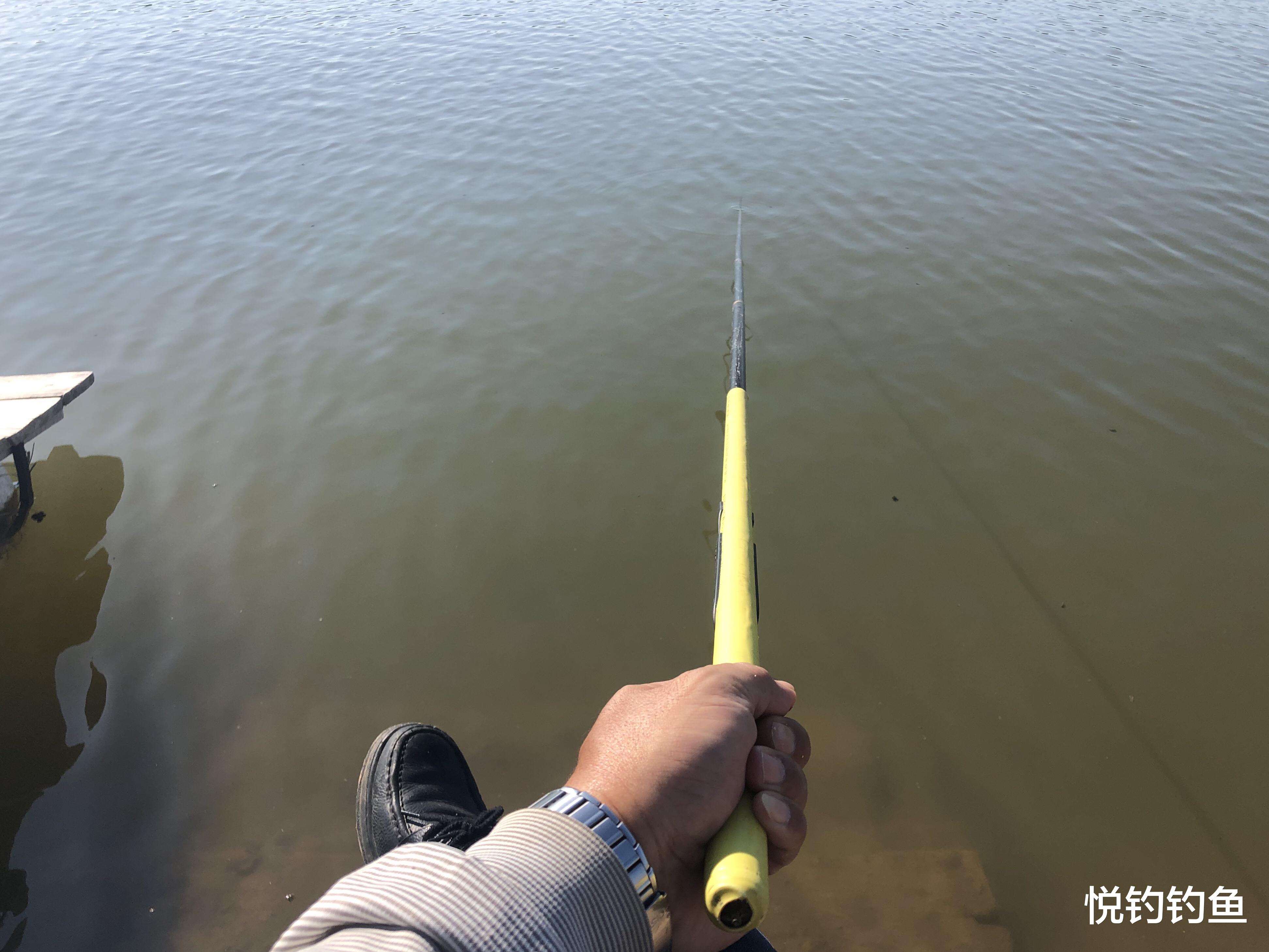 昆虫|今年的楞巴鱼咬口季，我还是溜达钓，这一箱子鱼获真过瘾