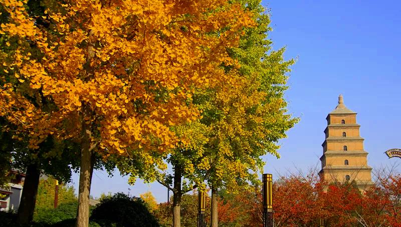 复制回忆|八座秋季颜值超高的城市，适合9-10月份旅游，你钟情那一座？