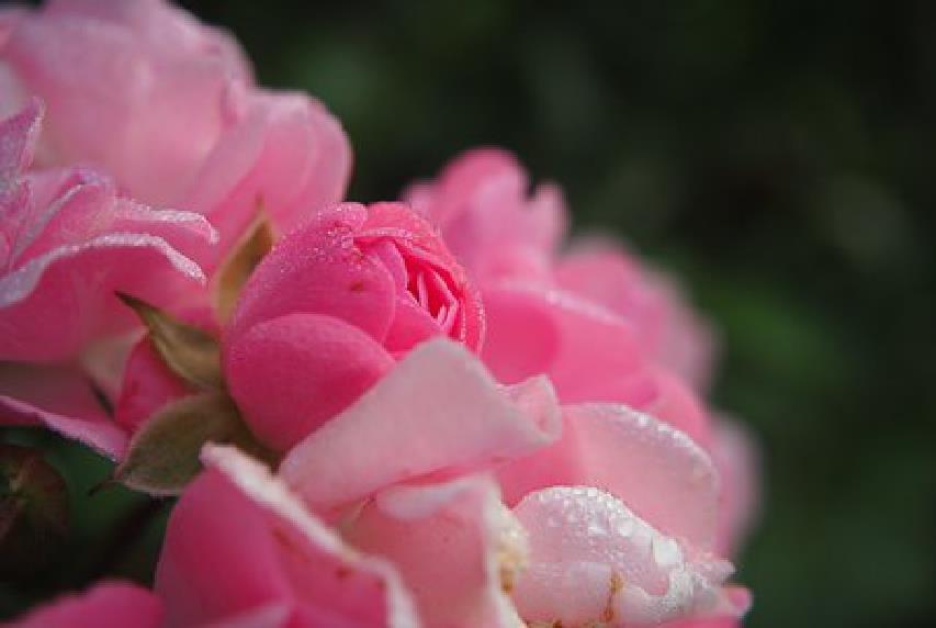 陈敏妍说情感|经典走心的感悟短语，深刻透彻，读完受益不少