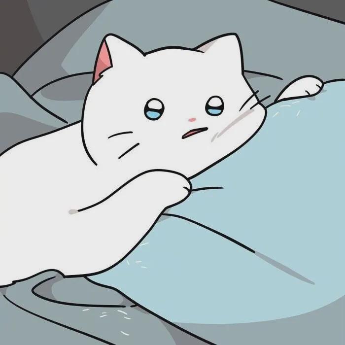 擁抱|動漫頭像：愿我能看穿一切，擁抱如刺猬般的你