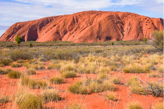 毒蛇 毒性排名世界第二的毒蛇，对人连续发起攻击，比太攀蛇丝毫不让