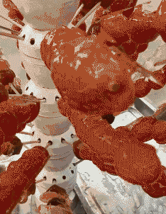 萌萌萌说|“我老婆很像范冰冰，你们是不是嫉妒了？”评论区精彩了！哈哈哈