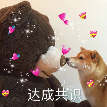 桉月|表情包:一组柴犬的表情