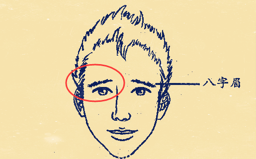 鸿坤风水说|求财顺利的这些面相特征你有吗